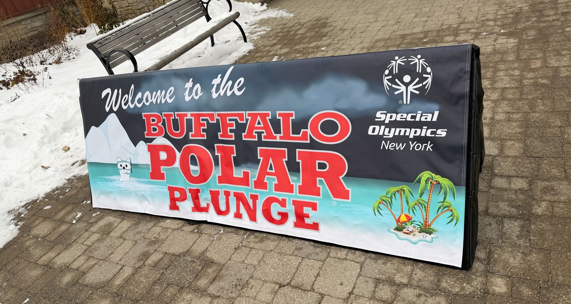 Polar Plunge